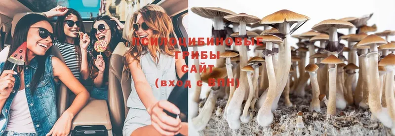 Галлюциногенные грибы Magic Shrooms  Калач 